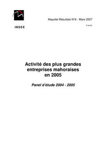 Activité des plus grandes entreprises mahoraises en 2005 (Panel détude 2004 - 2005)