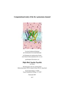 Computational study of the Kcv potassium channel [Elektronische Ressource] / von Sascha Tayefeh