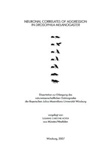 Neuronal correlates of aggression in Drosophila melanogaster [Elektronische Ressource] / vorgelegt von Susanne Hoyer