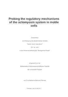 Probing the regulatory mechanisms of the actomyosin system in motile cells [Elektronische Ressource] / Eva Katharina Barbosa Pfannes. Betreuer: Carsten Beta