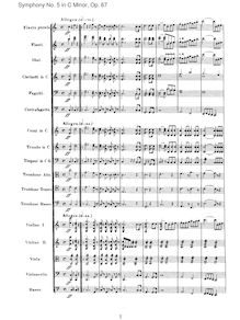 Partition I, Allegro, Symphony No.5, Op.67, C minor, Beethoven, Ludwig van