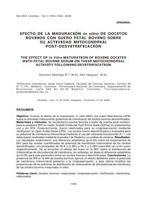 EFECTO DE LA MADURACIÓN in vitro DE OOCITOS BOVINOS CON SUERO FETAL BOVINO SOBRE SU ACTIVIDAD MITOCONDRIAL POST-DESVITRIFICACIÓN (THE EFFECT OF in Vitro MATURATION OF BOVINE OOCITES WITH FETAL BOVINE SERUM ON THEIR MITOCHONDRIAL ACTIVITY FOLLOWING DEVITRIFICATION)