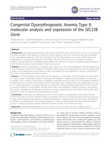 Congenital Dyserythropoietic Anemia Type II: molecular analysis and expression of the SEC23BGene