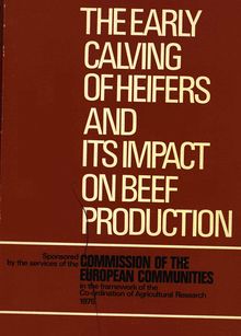 The early calving of heifers and its impact on beef production