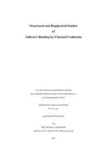 Structural and biophysical studies of adhesive binding by classical cadherins [Elektronische Ressource] / Julia Brasch