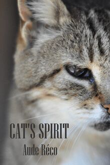 Cat s spirit