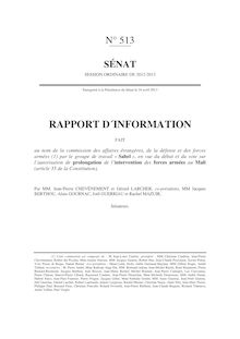 Rapport d'information du Sénat : Mali - comment gagner la paix ?