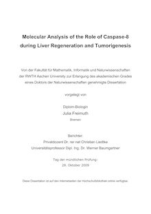 Molecular analysis of the role of caspase-8 during liver regeneration and tumorigenesis [Elektronische Ressource] / vorgelegt von Julia Freimuth