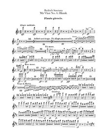 Partition Piccolo, flûte 1, 2, Blaník, D minor, Smetana, Bedřich