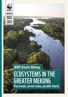 Rapport WWF : Les nouvelles pertes de forêts soulignent la nécessité d’un développement soutenable dans la région du Grand Mékong