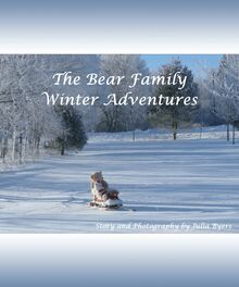 The Bear Family Winter Adventures
