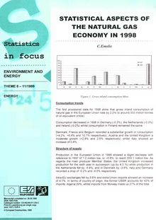 Statistical aspects of the natural gas economy in 1998