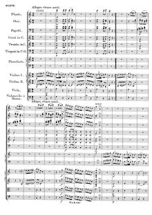 Partition , Allegro vivace assai, Piano Concerto No.21, Piano Concerto No.21