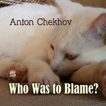 Who Was to Blame?