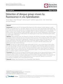 Detection of dengue group viruses by fluorescence in situ hybridization