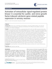 Activation of extracellular signal-regulated protein kinase 5 is essential for cystitis- and nerve growth factor-induced calcitonin gene-related peptide expression in sensory neurons