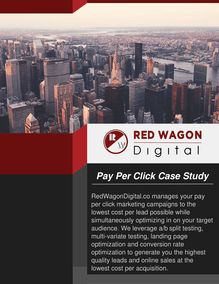 Red Wagon Digital - Pay Per Click Case Study