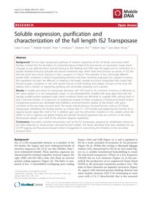 Soluble expression, purification and characterization of the full length IS2Transposase
