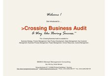 Crossing Business Audit memco