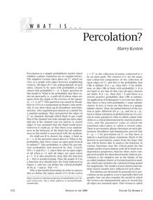 What is . . .Percolation?