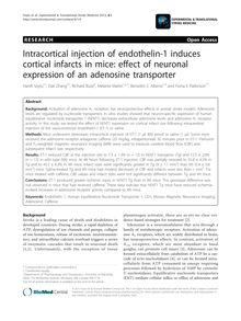 Intracortical injection of endothelin-1 induces cortical infarcts in mice: effect of neuronal expression of an adenosine transporter