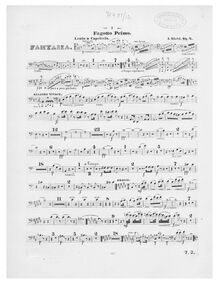 Partition basson 1, Fantaisie, Fantaisie pour violoncello avec orchestre ou piano