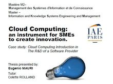 Cloud Computing: an instrument for SMEs to create innovation