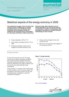Statistical aspects of the energy economy in 2009