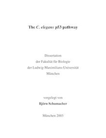The C. elegans p53 pathway [Elektronische Ressource] / vorgelegt von Björn Schumacher