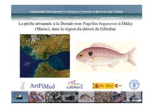 La pêche artisanale à la Dorade rose Pagellus bogaraveo à Dikky ...