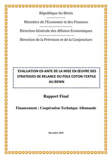 raport final etude coton textile 04 01 2011