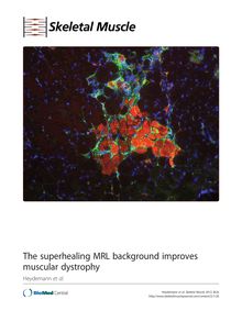 The superhealing MRL background improves muscular dystrophy