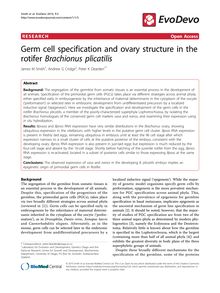Germ cell specification and ovary structure in the rotifer Brachionus plicatilis