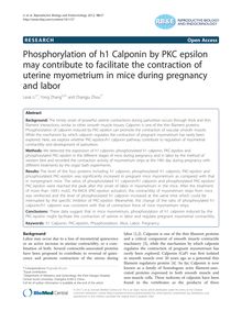 Phosphorylation of h1 Calponin by PKC epsilon may contribute to facilitate the contraction of uterine myometrium in mice during pregnancy and labor