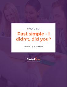 Past simple - I didn t, did you?