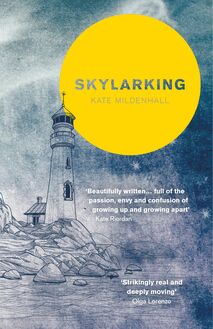 Skylarking: Striking fiction rooted in adolescent friendship and desire