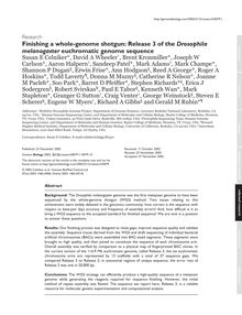 Finishing a whole-genome shotgun: Release 3 of the Drosophila melanogastereuchromatic genome sequence