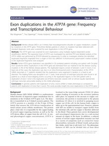 Exon duplications in the ATP7Agene: Frequency and Transcriptional Behaviour