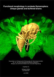 Functional morphology in aculeate Hymenoptera: unique glands and buffered brains [Elektronische Ressource] / vorgelegt von Wolfgang Göttler