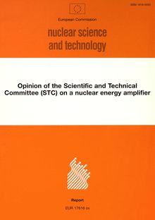 Opinion of the Scientific and Technical Committee (STC) on a nuclear energy amplifier