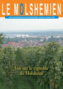Vue sur le vignoble de Molsheim
