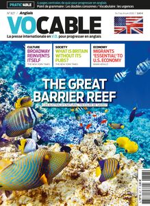Magazine Vocable Anglais -  Du 11 au 24  juin 2020