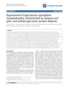 Experimental H-type bovine spongiform encephalopathy characterized by plaques and glial- and stellate-type prion protein deposits