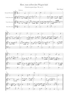 Partition , Herr, nun selbst der Wagen halt (SATB), choral préludes pour orgue, Op.79b