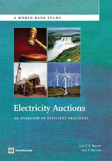 Electricity Auctions