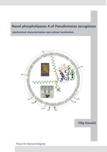 Novel phospholipases A of Pseudomonas aeruginosa [Elektronische Ressource] : biochemical characterisation and cellular localisation / Filip Kovačić
