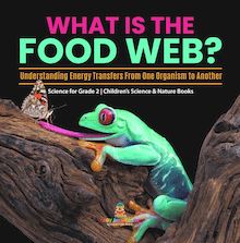 What Is the Food Web? Understanding Energy Transfers From One Organism to Another | Science for Grade 2 | Children’s Science & Nature Books