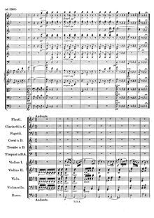 Partition , Andante, Symphony No.5 en D minor, Reformations-Sinfonie