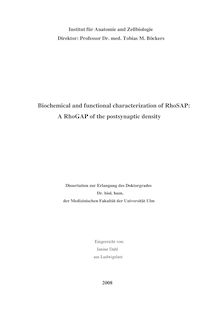 Biochemical and functional characterization of RhoSAP [Elektronische Ressource] : a RhoGAP of the postsynaptic density / eingereicht von Janine Dahl