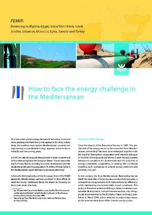 How to face the energy challenge in the Mediterranean